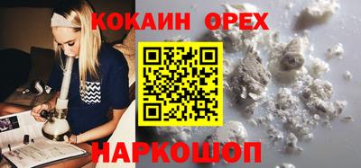 гашик Кулебаки
