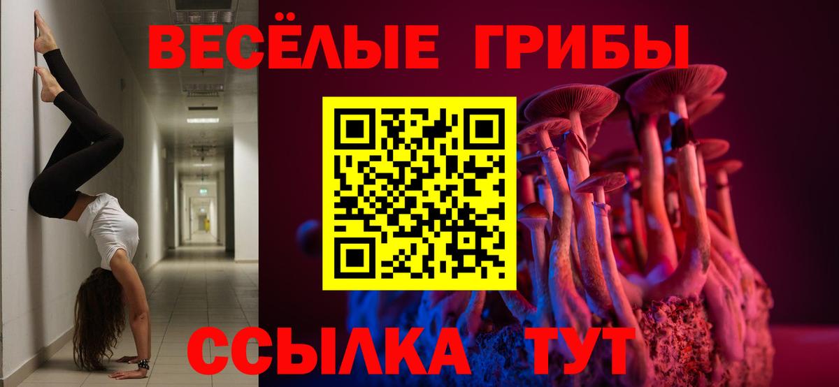 Галлюциногенные грибы мицелий  Вход с VPN  Ишим  Псилоцибиновые грибы Magic Shrooms 