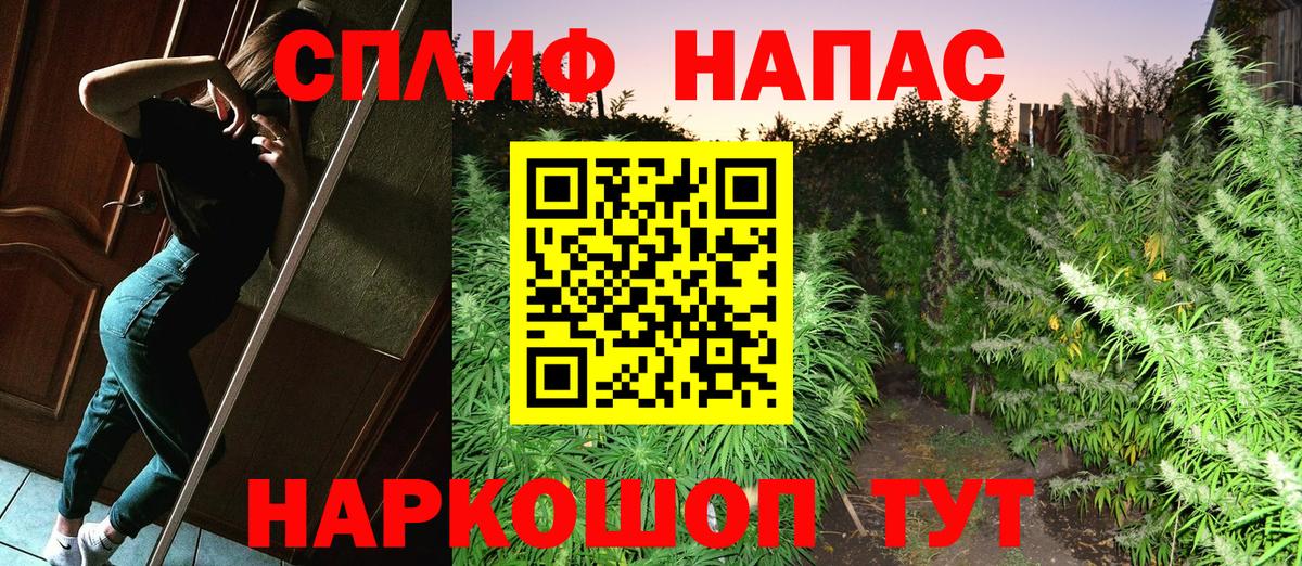 Бошки марихуана гибрид Ишим